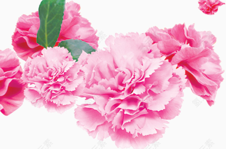 花，粉色花，粉色，淘宝素材