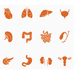 人体器官五脏六腑内脏图标矢量