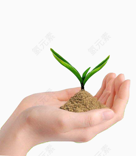 手捧绿植