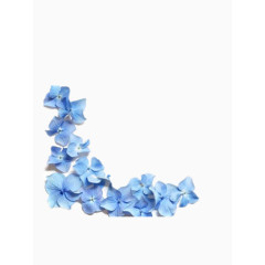 3D装饰花朵边框