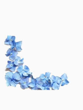 3D装饰花朵边框