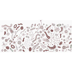 细菌图形矢量素材