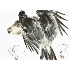 鹰传统水墨画装饰素材