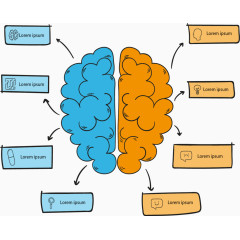 左右脑对比信息图表