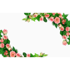 粉色玫瑰花边框