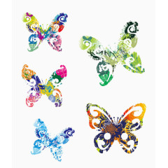 丰富多彩的花蝴蝶