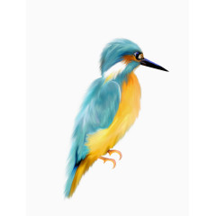 水粉画蓝色小鸟