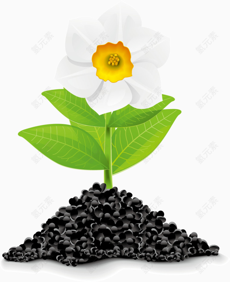 鲜艳的花朵黑土元素