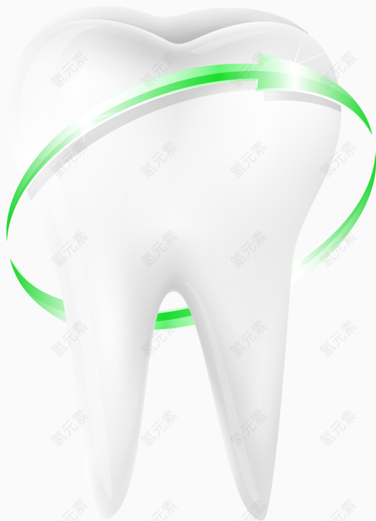矢量手绘牙齿