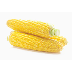 新鲜玉米