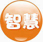 智慧 圆形 橙色 方案字