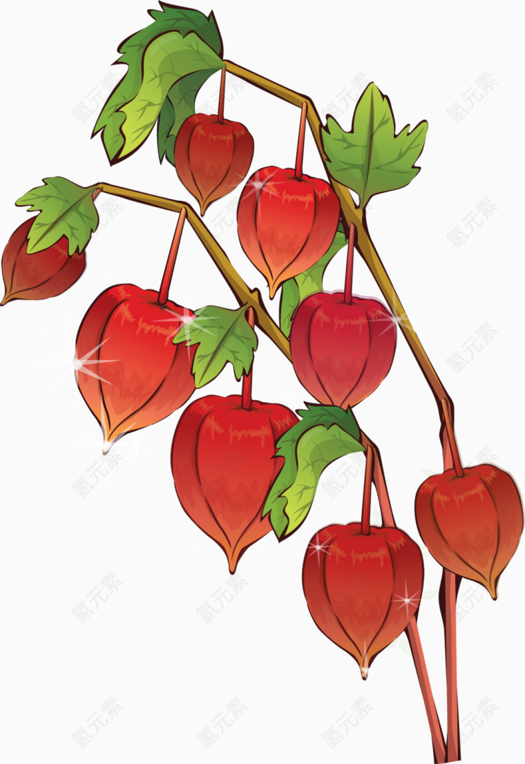 矢量手绘花枝