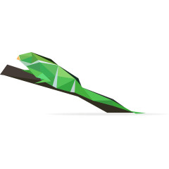 矢量折纸变色龙