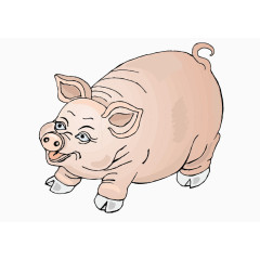 卡通手绘肥猪