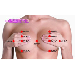 中医丰胸穴位