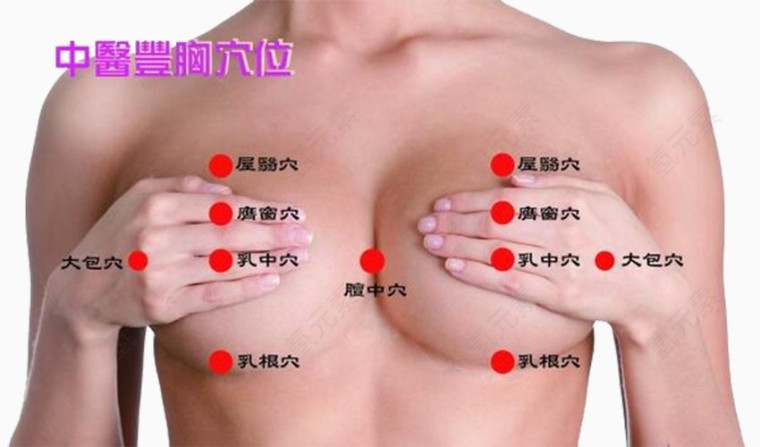 中医丰胸穴位