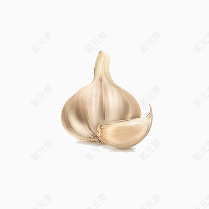 厨房好帮手蒜头