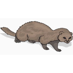 老鼠小心翼翼前行免费图片