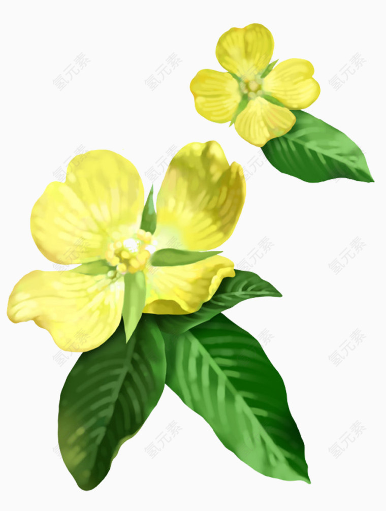 油画含笑图片素材
