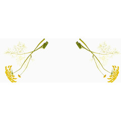 手绘简洁黄色花朵