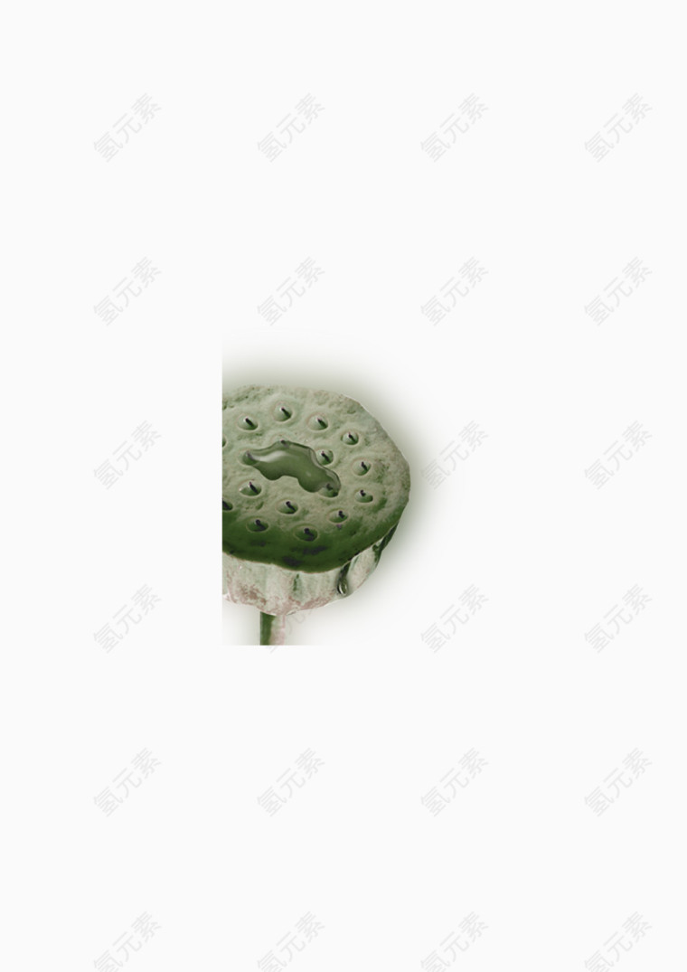 简约灰色莲蓬