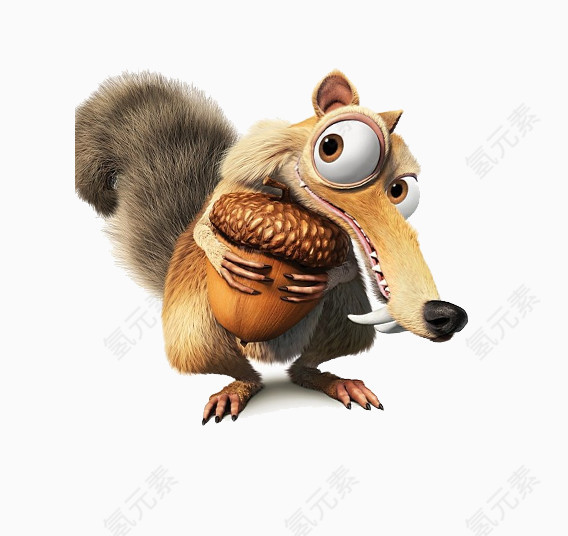 可爱的松鼠