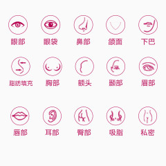 身体部位小图标