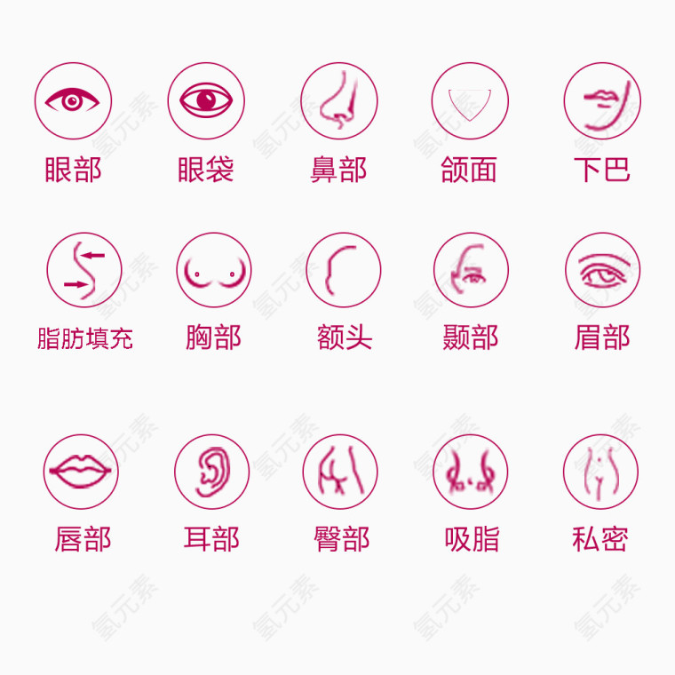 身体部位小图标
