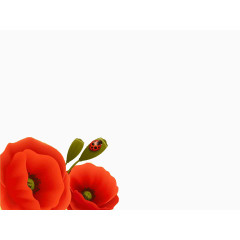 红色的花PPT背景