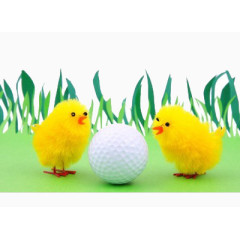 黄色的小鸡和高尔夫球