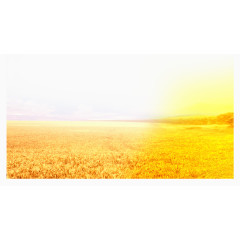 金色麦田装饰图案