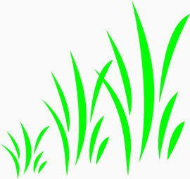 嫩绿色的卡通小草