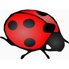 红色的七星瓢虫