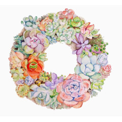 彩色多肉花圈
