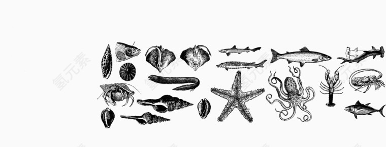 手绘各种海洋生物