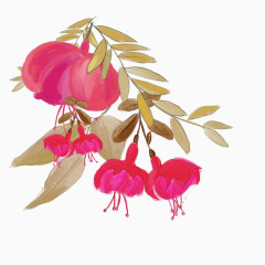 简单枚红色小花