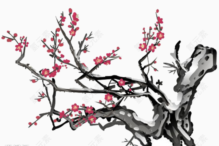 墙角数枝梅