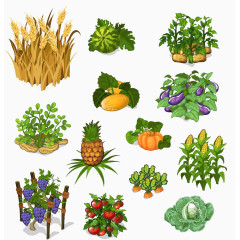 卡通蔬菜粮食