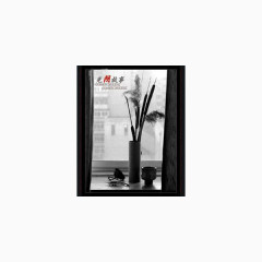 窗边实物摄影挂画