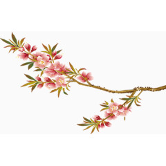唯美精美花枝花朵桃花树叶树枝