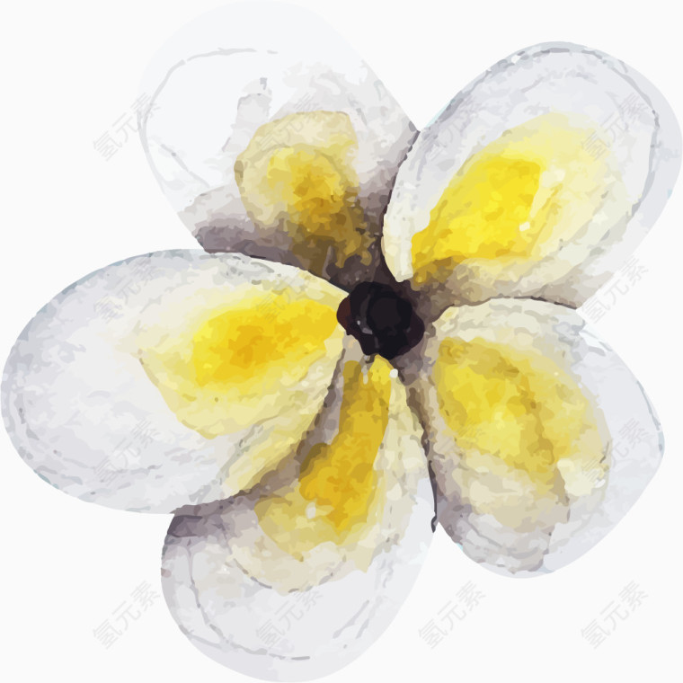 手绘水彩花卉