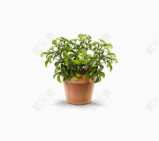 绿色植物图标