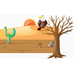 沙漠中的老斑鸠