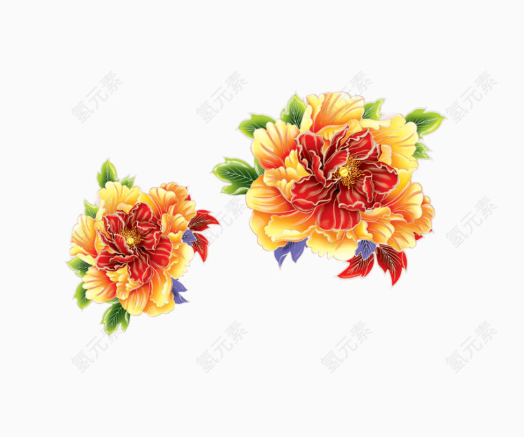 牡丹花精致清晰