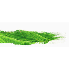 水墨风绿色茶田