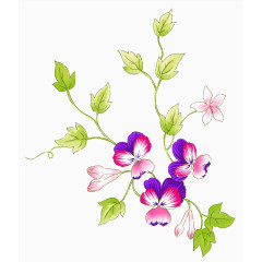 藤蔓蔓延图片素材