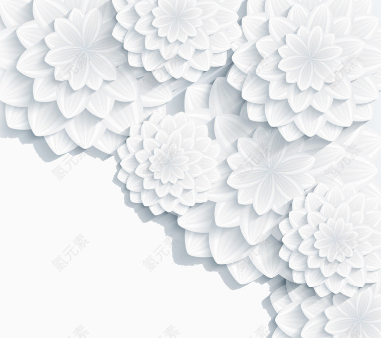 冰花