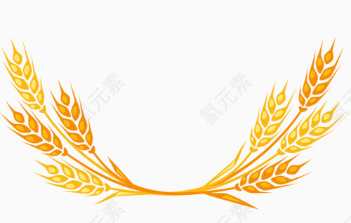 麦子素材