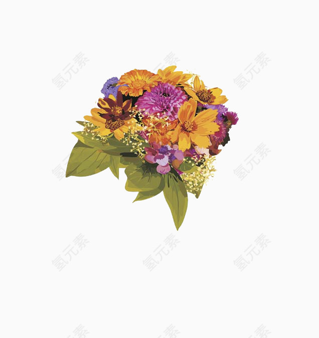 姹紫嫣红的花朵