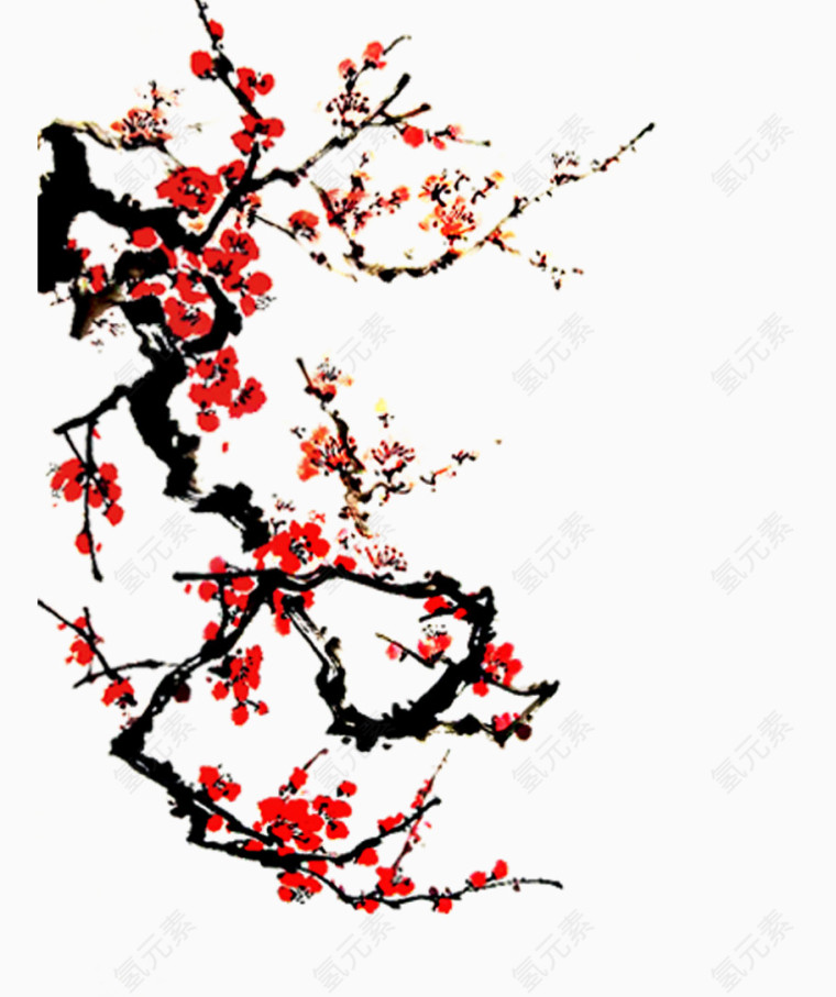 冬季的梅花